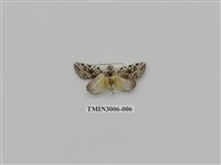 藏品(夜蛾613)的圖片